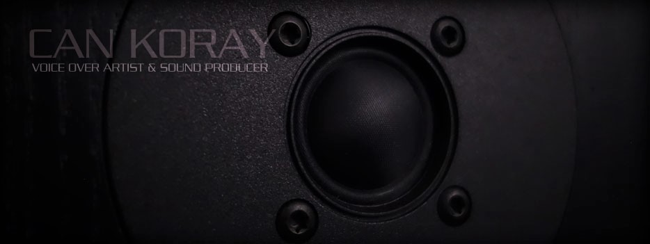 Speakers Tweeters