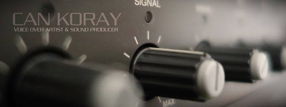 Turkish Voice Over Services